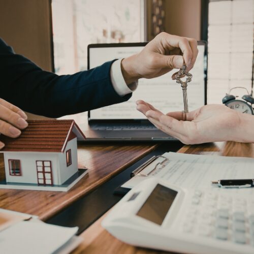 Bodrum’da İş İmkânları: Sezonluk ve Kalıcı Kariyer Fırsatları 