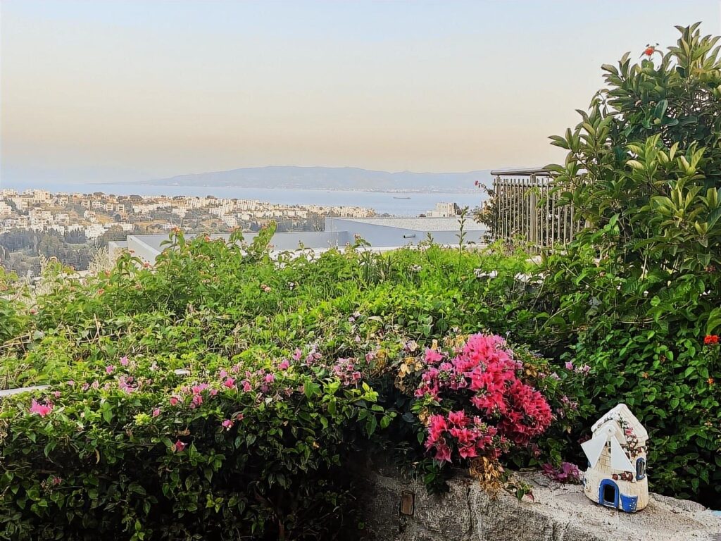 Bodrum'da Kos Manzaralı Yeni Sitede Tek Katlı Sıfır Villa - 6