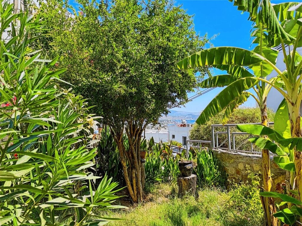 YAHŞİDE DENİZ MANZARALI 2+1 BAHÇE KATI DAİRE - 18