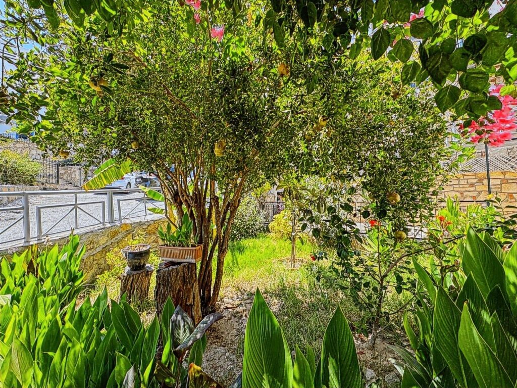 YAHŞİDE DENİZ MANZARALI 2+1 BAHÇE KATI DAİRE - 15