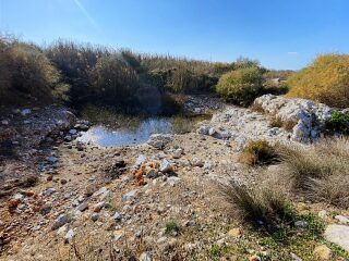 Milas Baharlı'da İçerisinde Su Kaynağı Olan TARLA