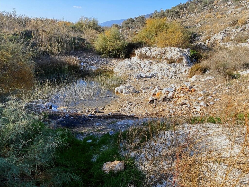 Milas Baharlı'da İçerisinde Su Kaynağı Olan TARLA - 2