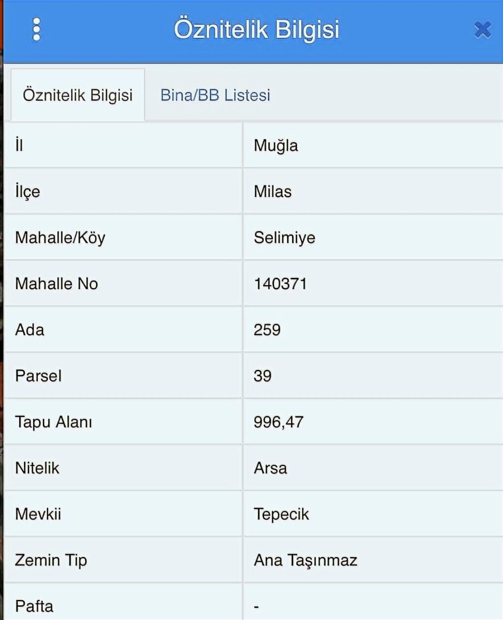 Milas Selimiye'de 30 adet Daire Yapılabilecek %100 İmarlı Arsa - 3
