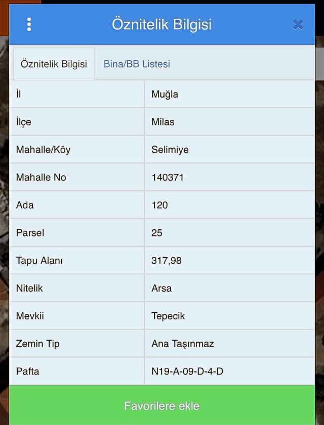 Milas Tepecik'te Zeytinlik