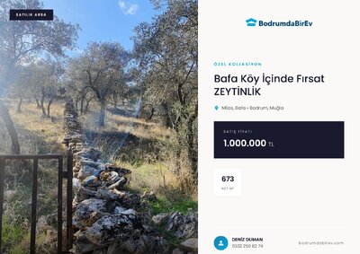 Listing Presentation